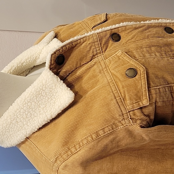 Tan Corduroy Sherpa-Lined Jacket - Picture 5 of 8